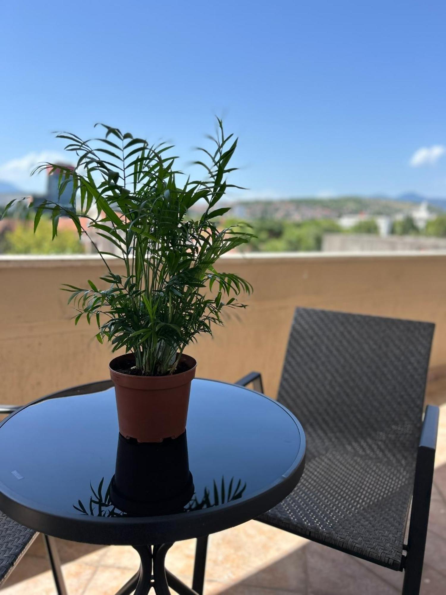 Hotel Bojatours Podgorica Kültér fotó